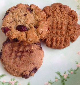 A peanut butter chocolate chip cookie, a cranberry oatmeal cookie, and a plain peanut butter cookie