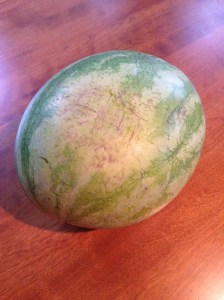 watermelon field spot