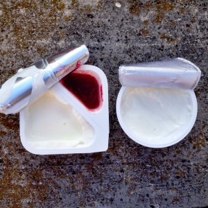 pic_8_yogurt_blog